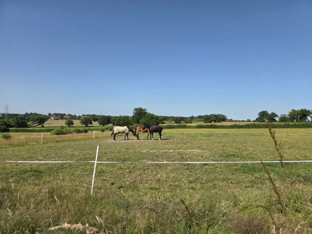 Farmhouse for sale bourbon l archambault, auvergne, AP030071081 Image - 12