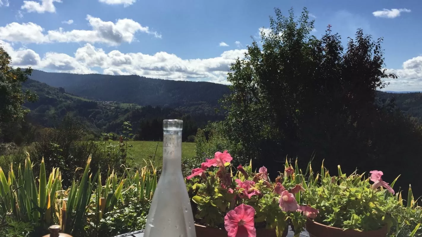 Character house for sale valcivieres, auvergne, AP030071137 Image - 10