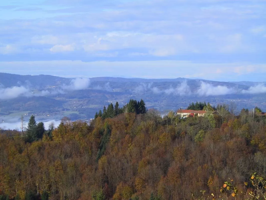 Character house for sale valcivieres, auvergne, AP030071137 Image - 14