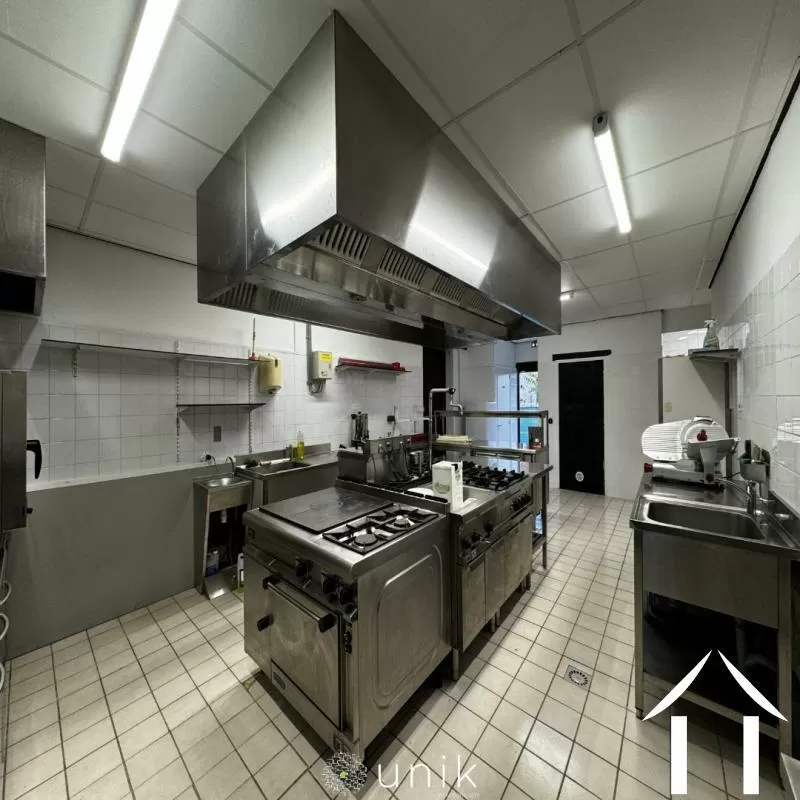 Château for sale vicq, auvergne, AP030071140 Image - 12