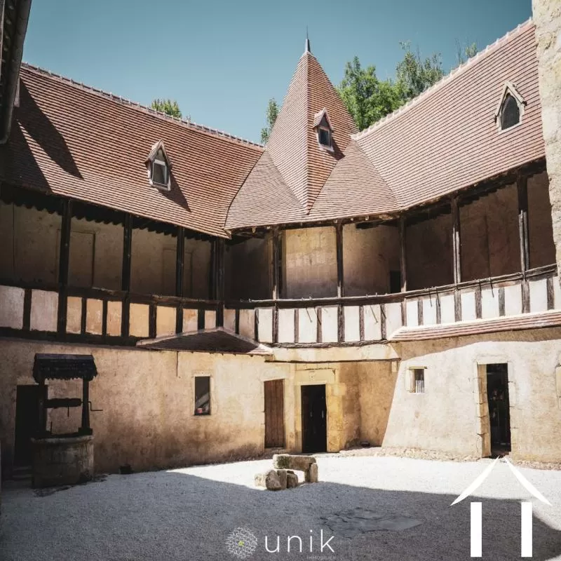 Château for sale vicq, auvergne, AP030071140 Image - 14