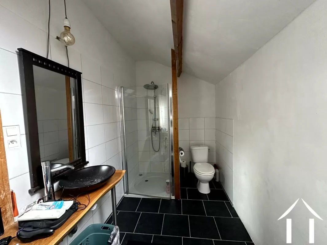 House for sale treteau, auvergne, AP030071196 Image - 8