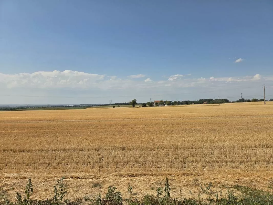 Property 1 hectare ++ for sale sanssat, auvergne, AP030071199 Image - 13