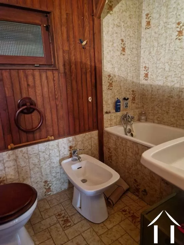 Character house for sale ludesse, auvergne, AP030071204 Image - 6
