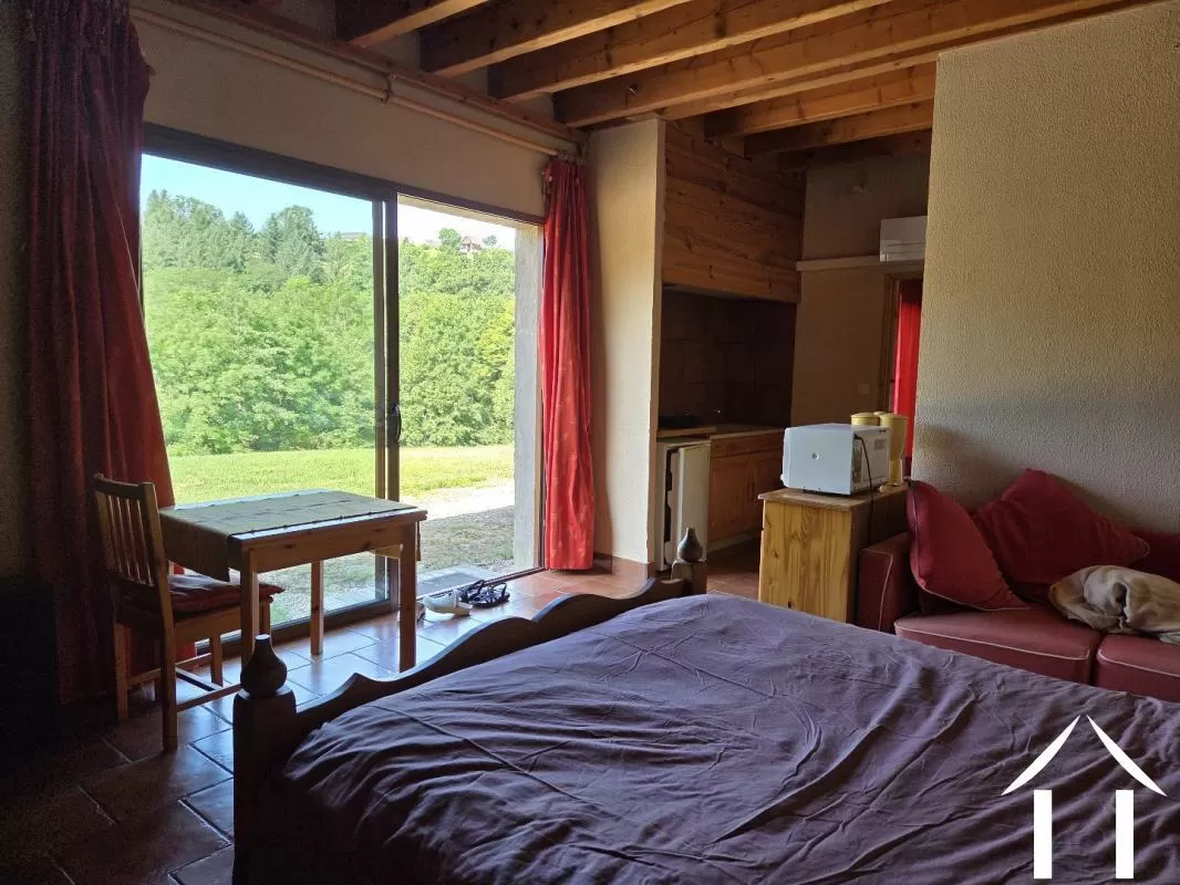 Castle, estate for sale arronnes, auvergne, AP03007176 Image - 3