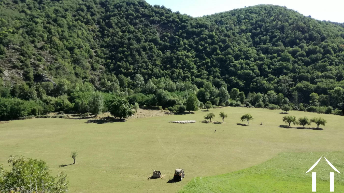 Property 1 hectare ++ for sale blesle, auvergne, AP03007902 Image - 2