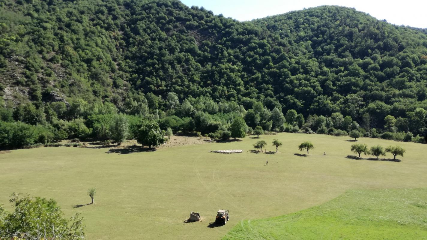 Property 1 hectare ++ for sale blesle, auvergne, AP03007902 Image - 14