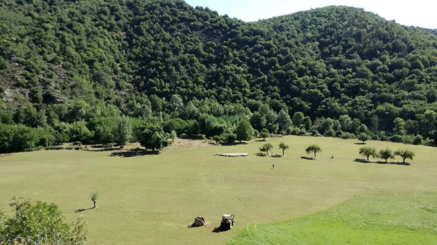 Property 1 hectare ++ for sale blesle, auvergne, AP03007902 Image - 14