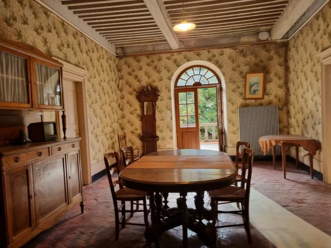 Castle, estate for sale antoingt, auvergne, AP03007945 Image - 3