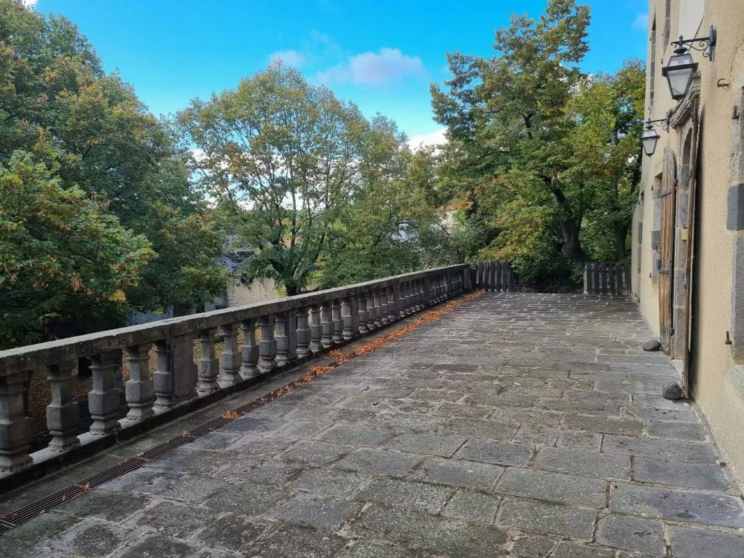 Castle, estate for sale antoingt, auvergne, AP03007945 Image - 14