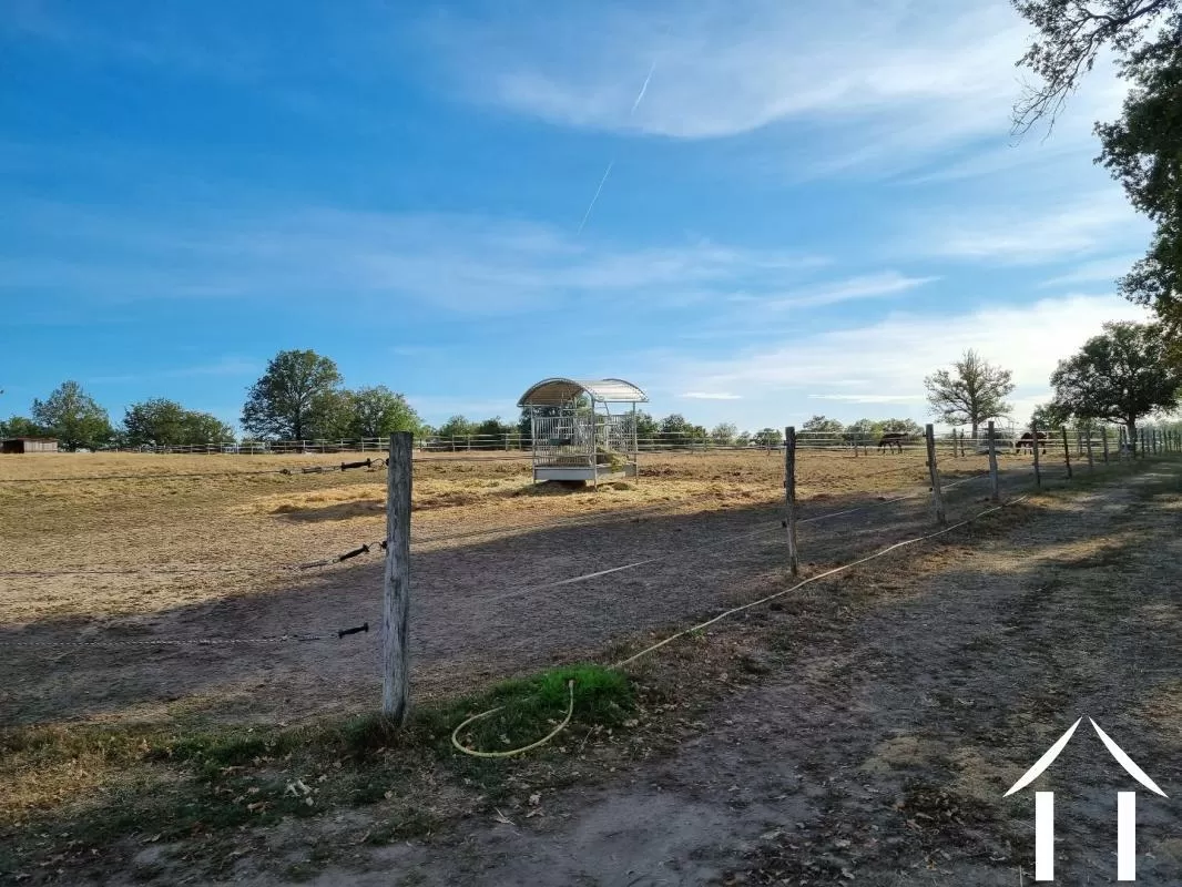 Equestrian farm for sale sauvagny, auvergne, AP03007997 Image - 7