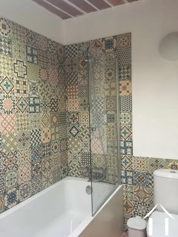 Character house for sale st nazaire de ladarez, languedoc-roussillon, EG09-6939 Image - 9