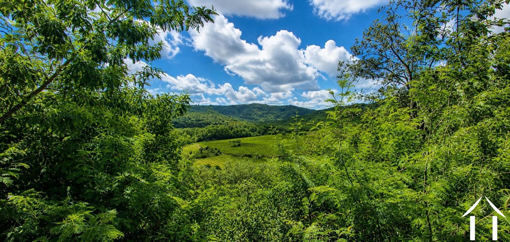Property 1 hectare ++ for sale roquebrun, languedoc-roussillon, EG09-6993 Image - 2