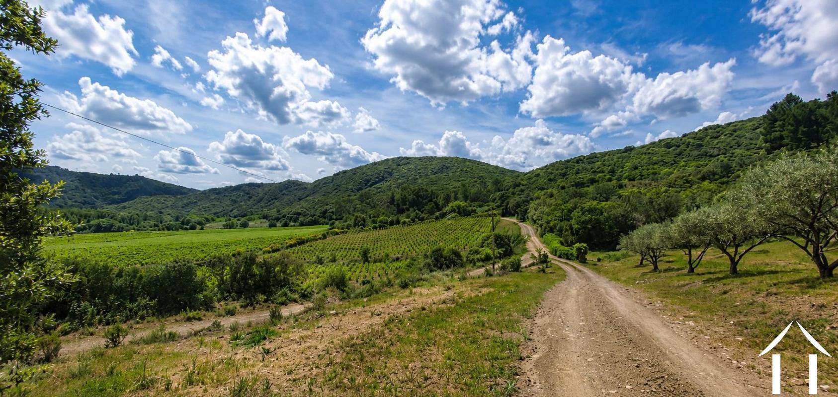 Property 1 hectare ++ for sale roquebrun, languedoc-roussillon, EG09-6993 Image - 4