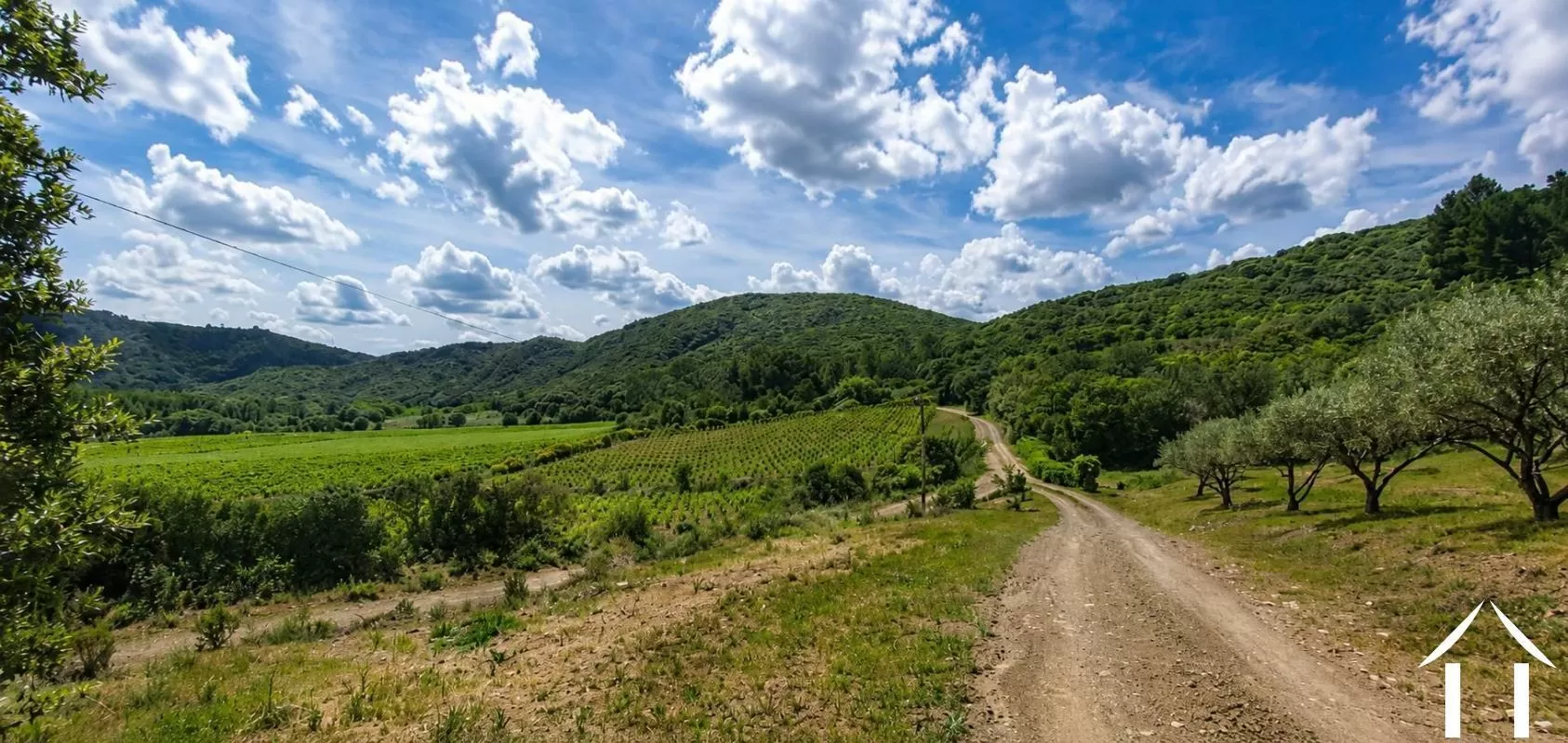 Property 1 hectare ++ for sale roquebrun, languedoc-roussillon, EG09-6993 Image - 4