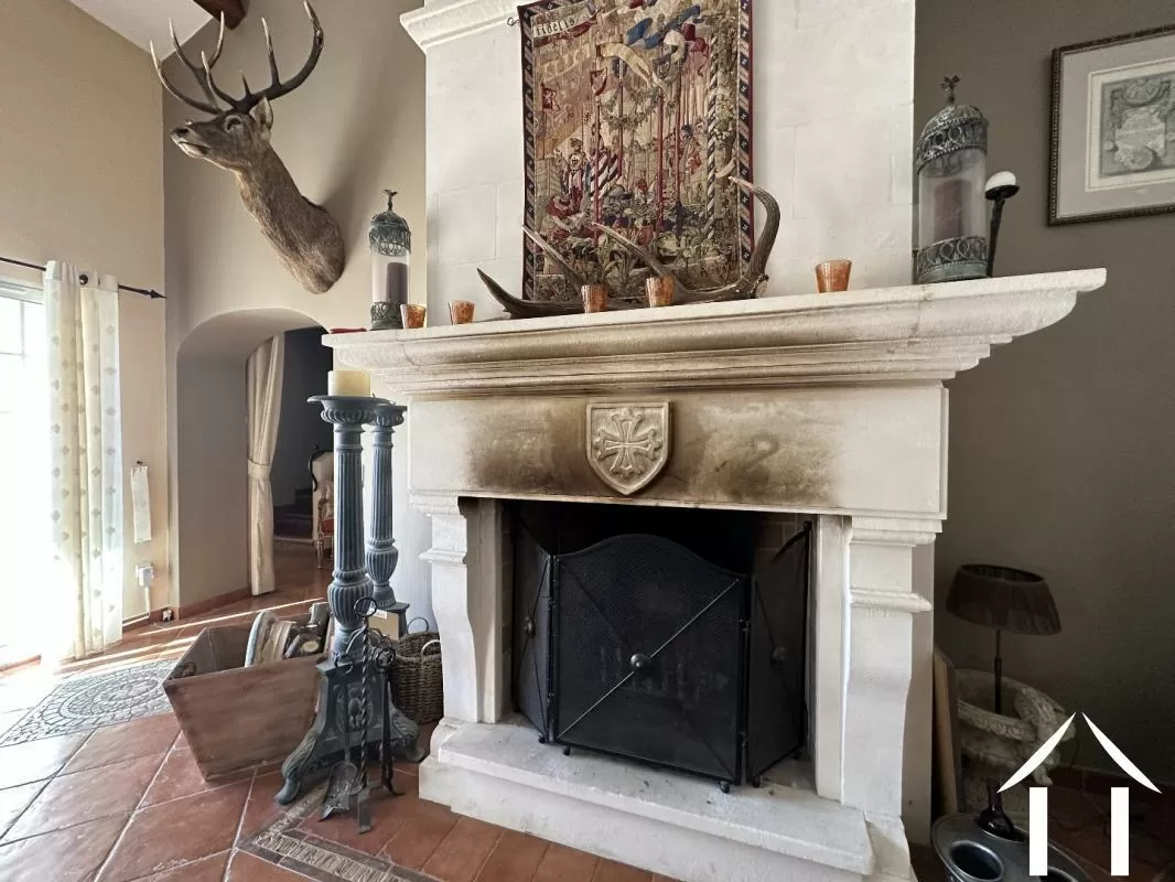 Castle, estate for sale st chinian, languedoc-roussillon, EG11-2490 Image - 7