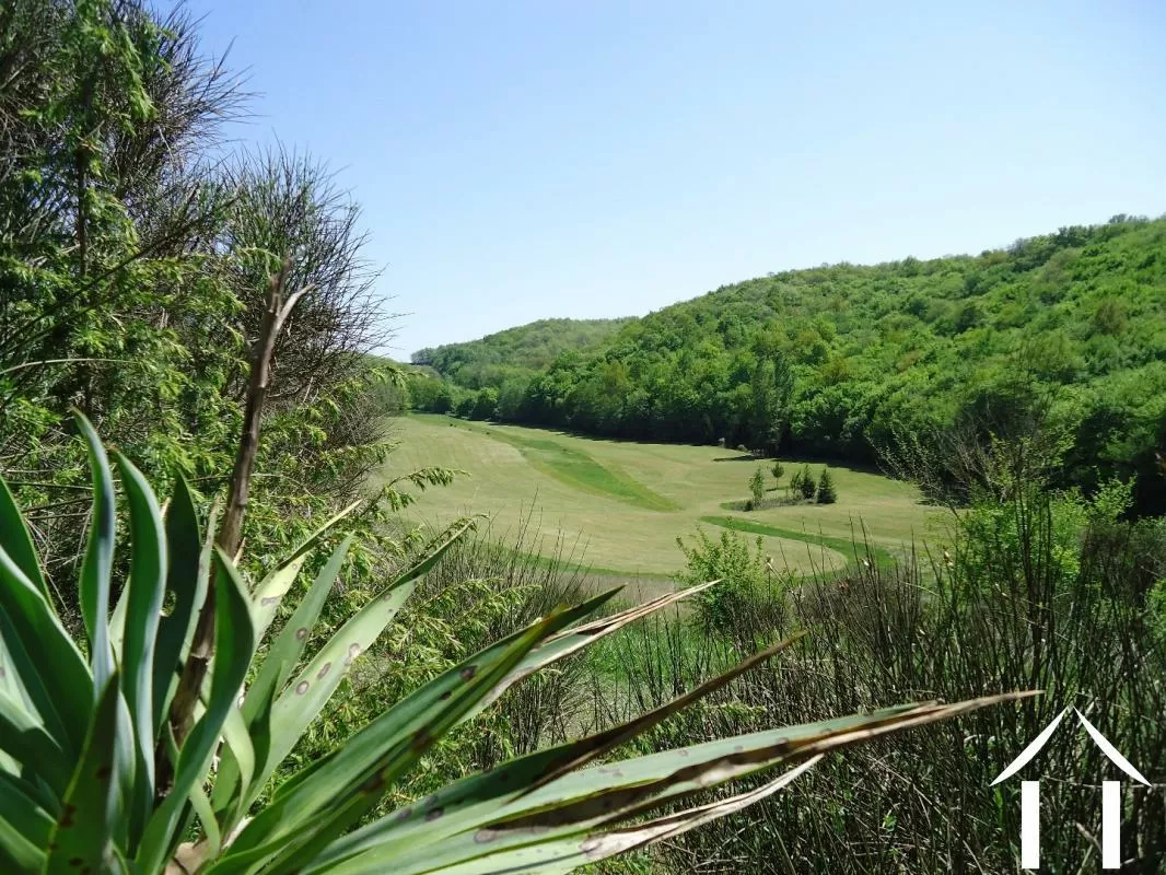 House for sale masseube, midi-pyrenees, EG11-2536 Image - 5