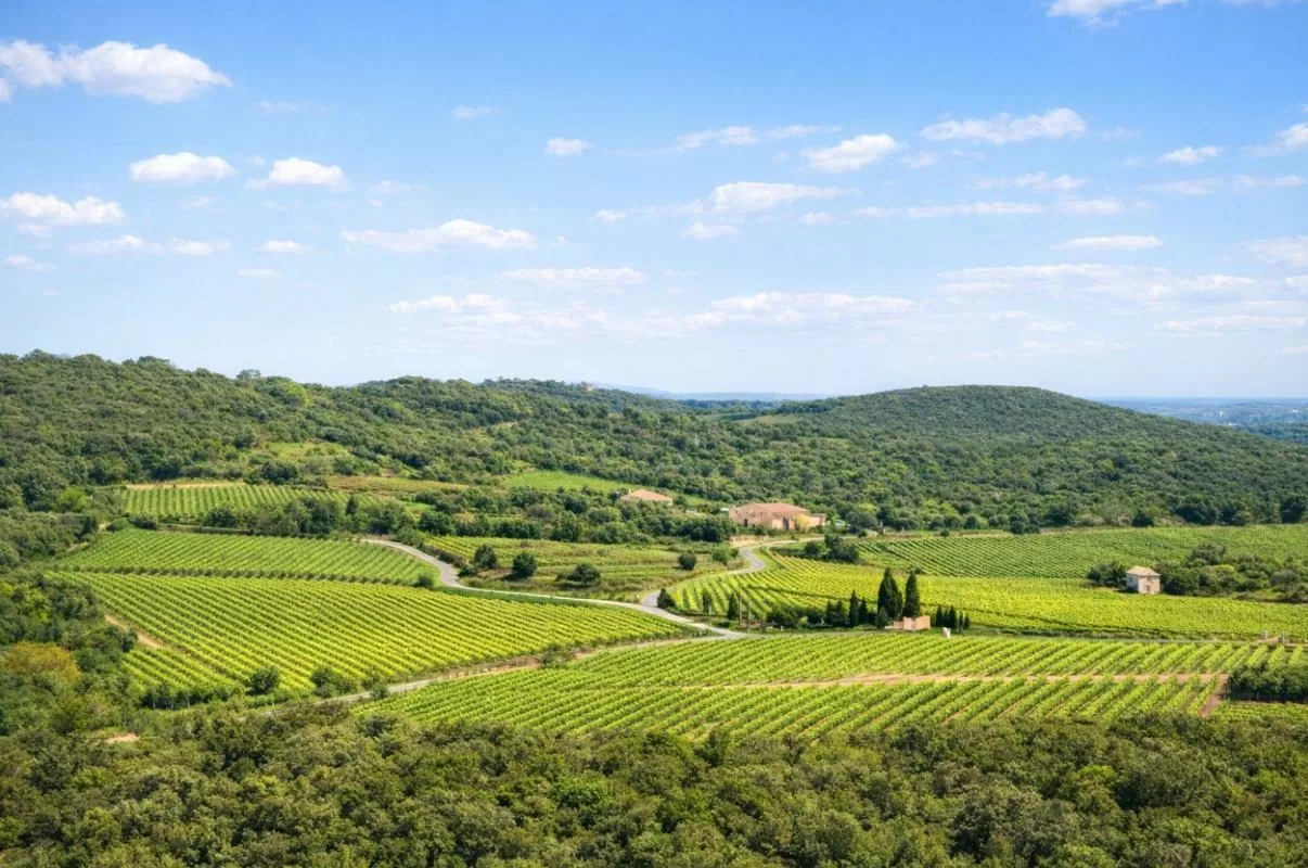 House for sale faugeres, rhone-alpes, EG11-2546 Image - 9