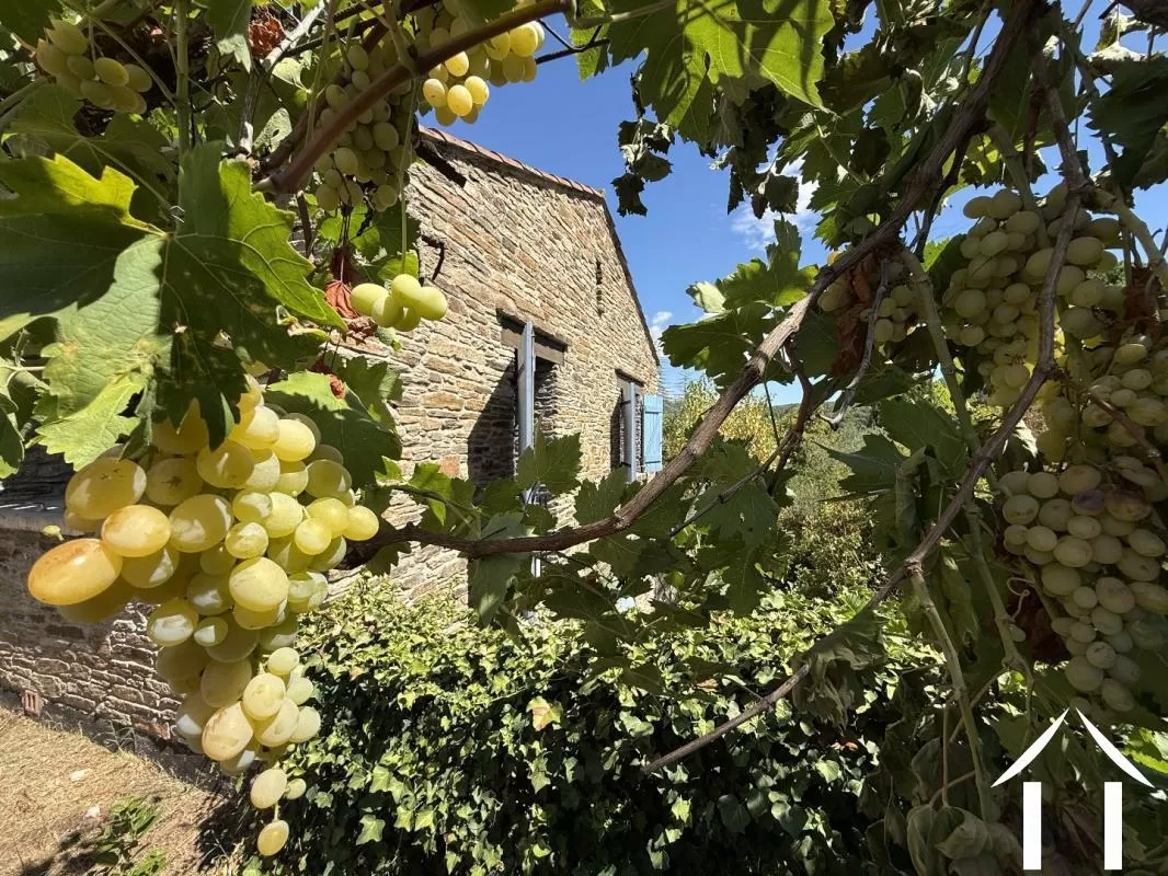 Character house for sale lamalou les bains, languedoc-roussillon, EG11-2561 Image - 4
