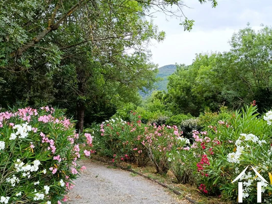 House for sale colombieres sur orb, languedoc-roussillon, EG11-2562 Image - 3