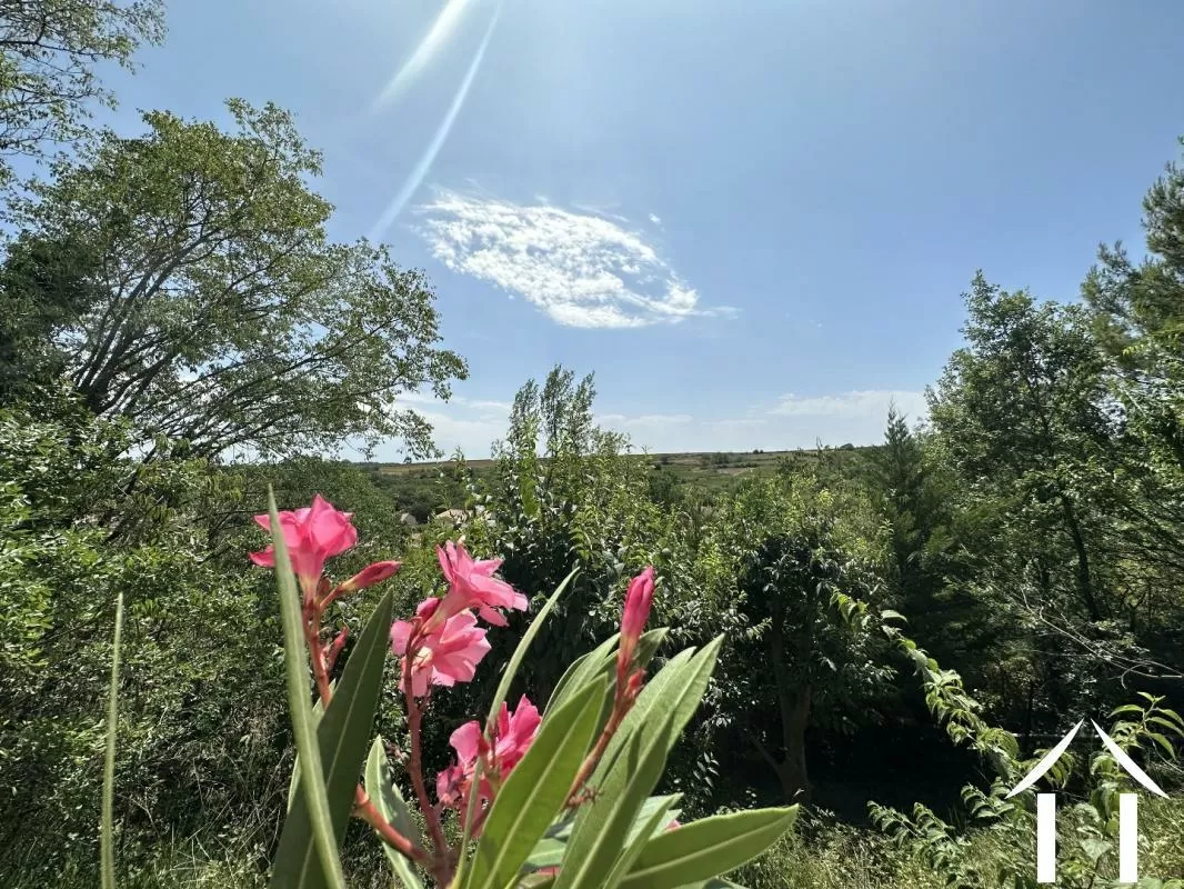 House for sale magalas, languedoc-roussillon, EG2474 Image - 5