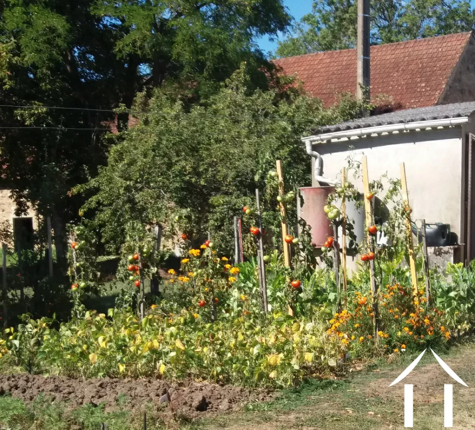Potager