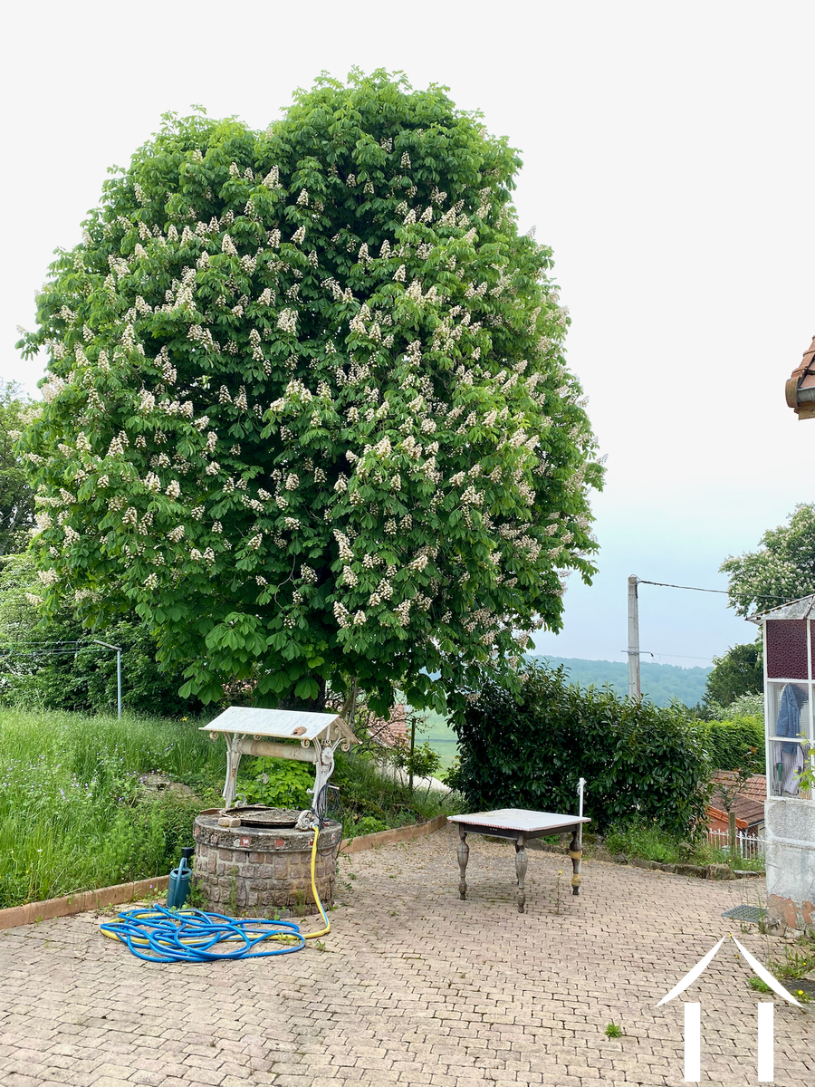 La cour (côté Est) et le puits