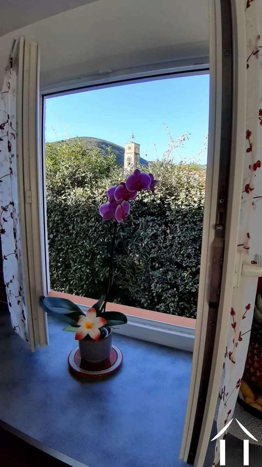 House with guest house for sale villemagne l'argentiere, languedoc-roussillon, 11-2477 Image - 4