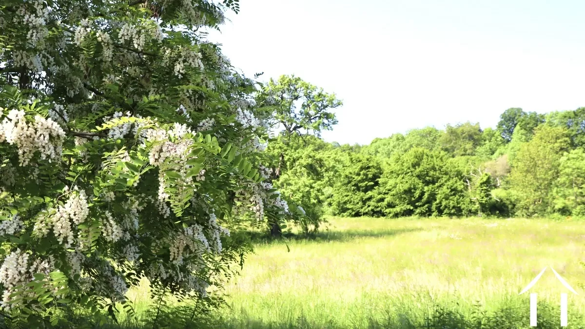 Character house for sale st saulge, burgundy, CvH5515M Image - 6