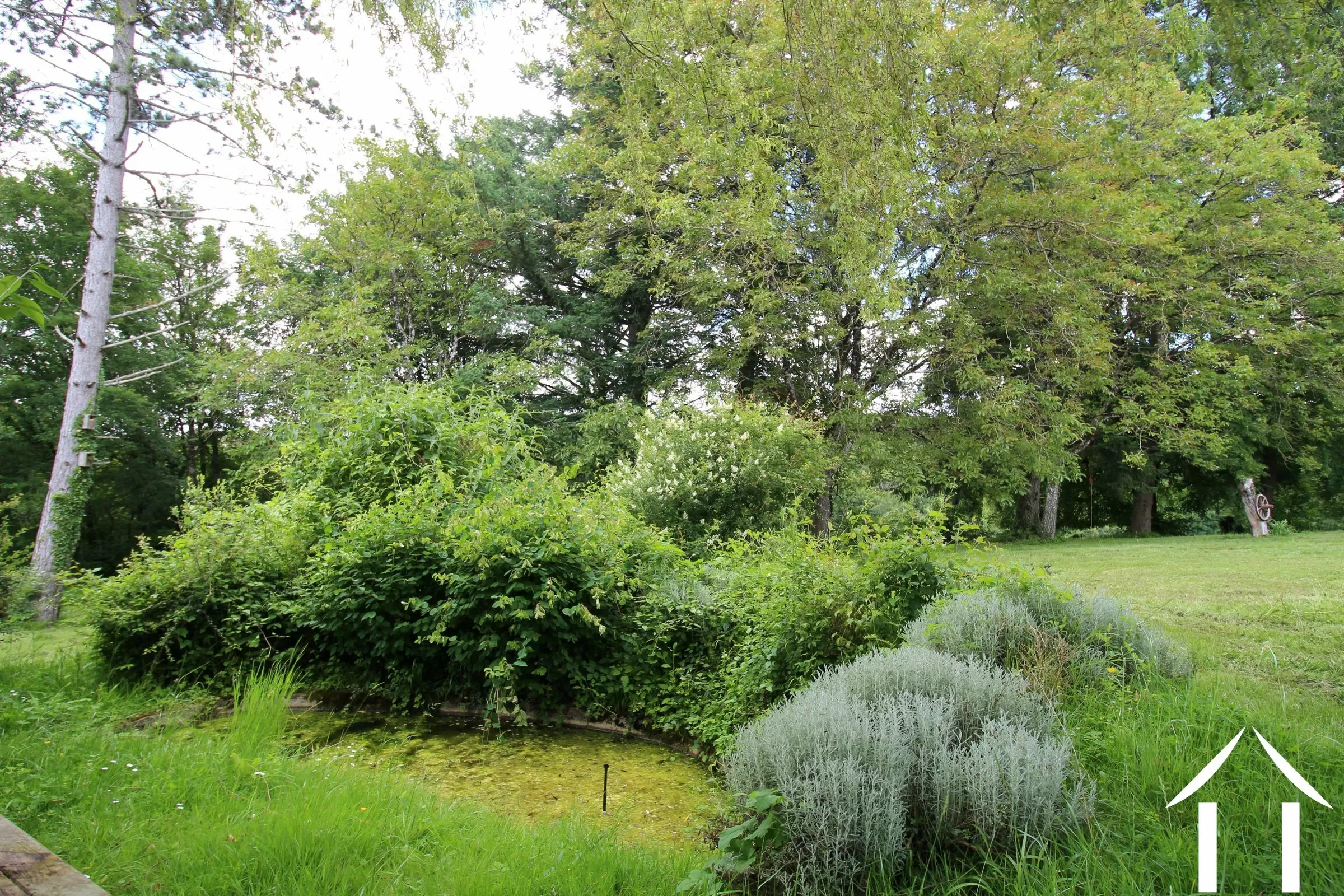 House for sale colmery, burgundy, LB5535N Image - 21