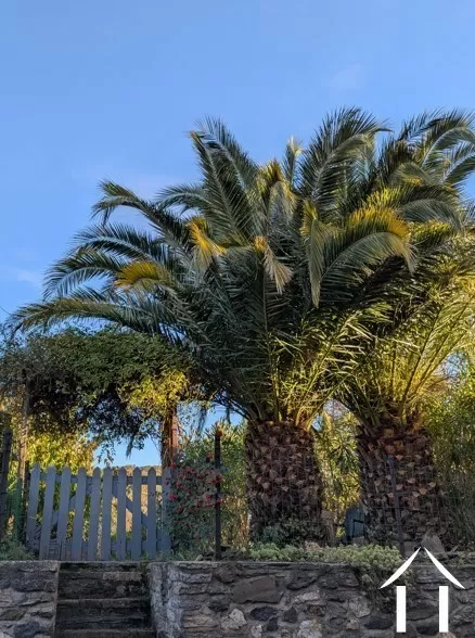 House for sale roquessels, languedoc-roussillon, 11-2508 Image - 5