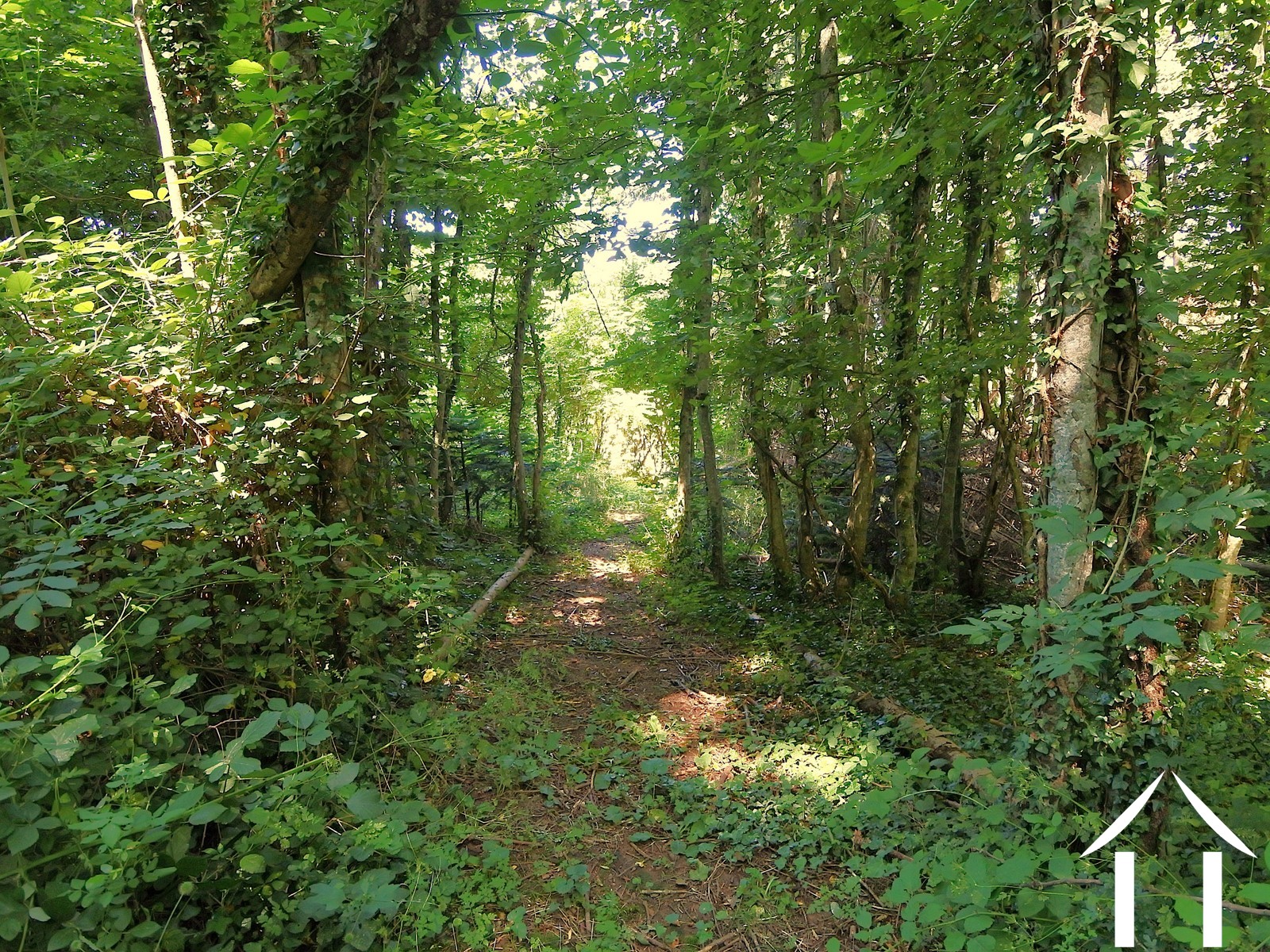 House for sale montmelard, burgundy, JDP5589S Image - 39