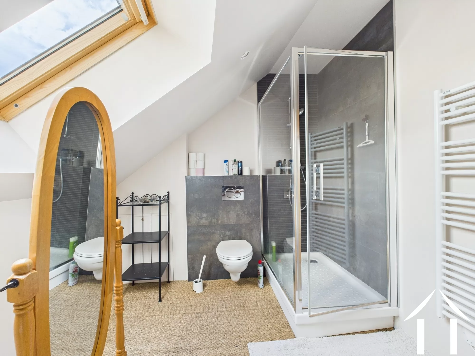 Shower room with toilet - level 2