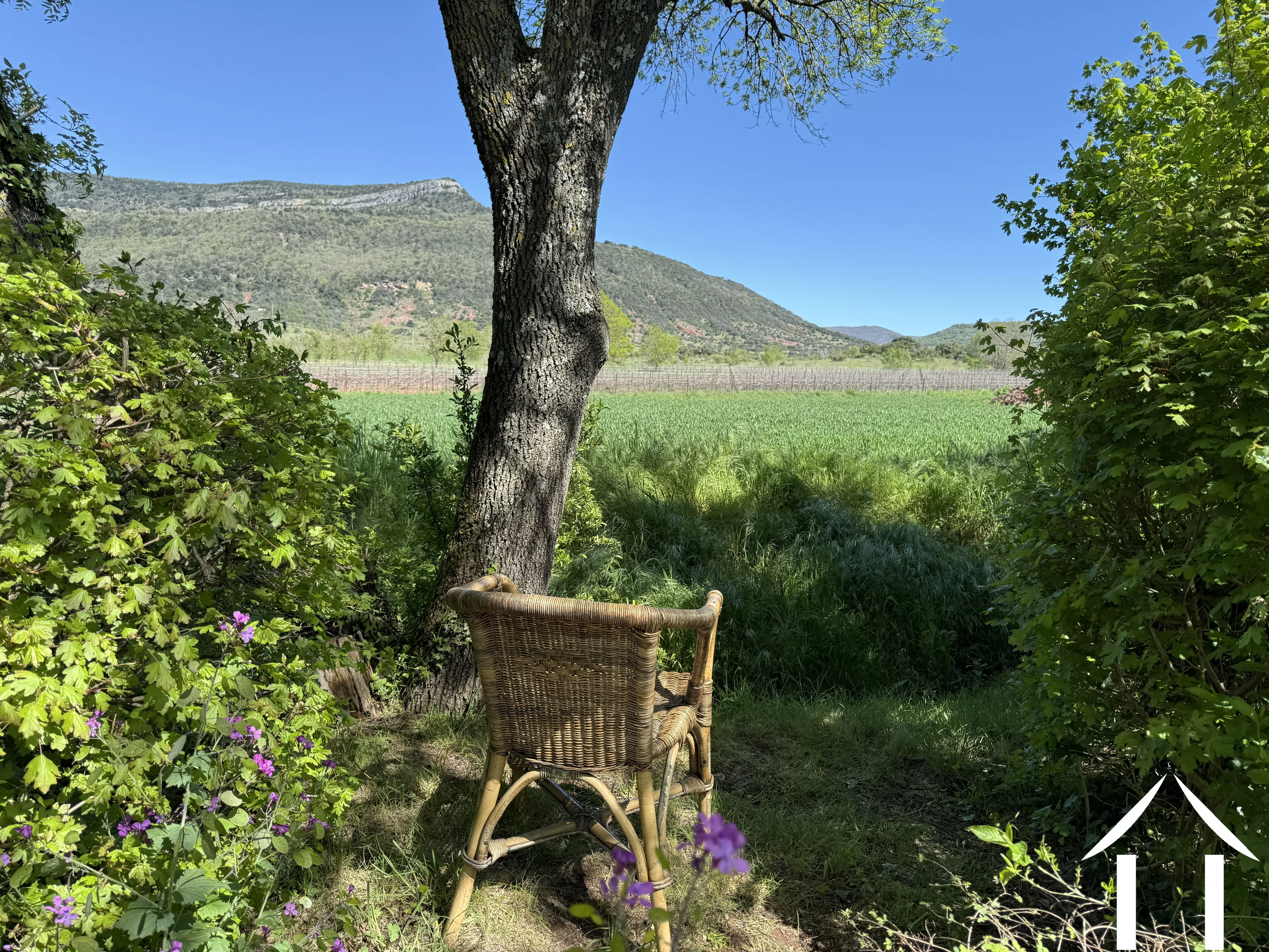 House for sale la tour sur orb, languedoc-roussillon, 11-2520 Image - 2