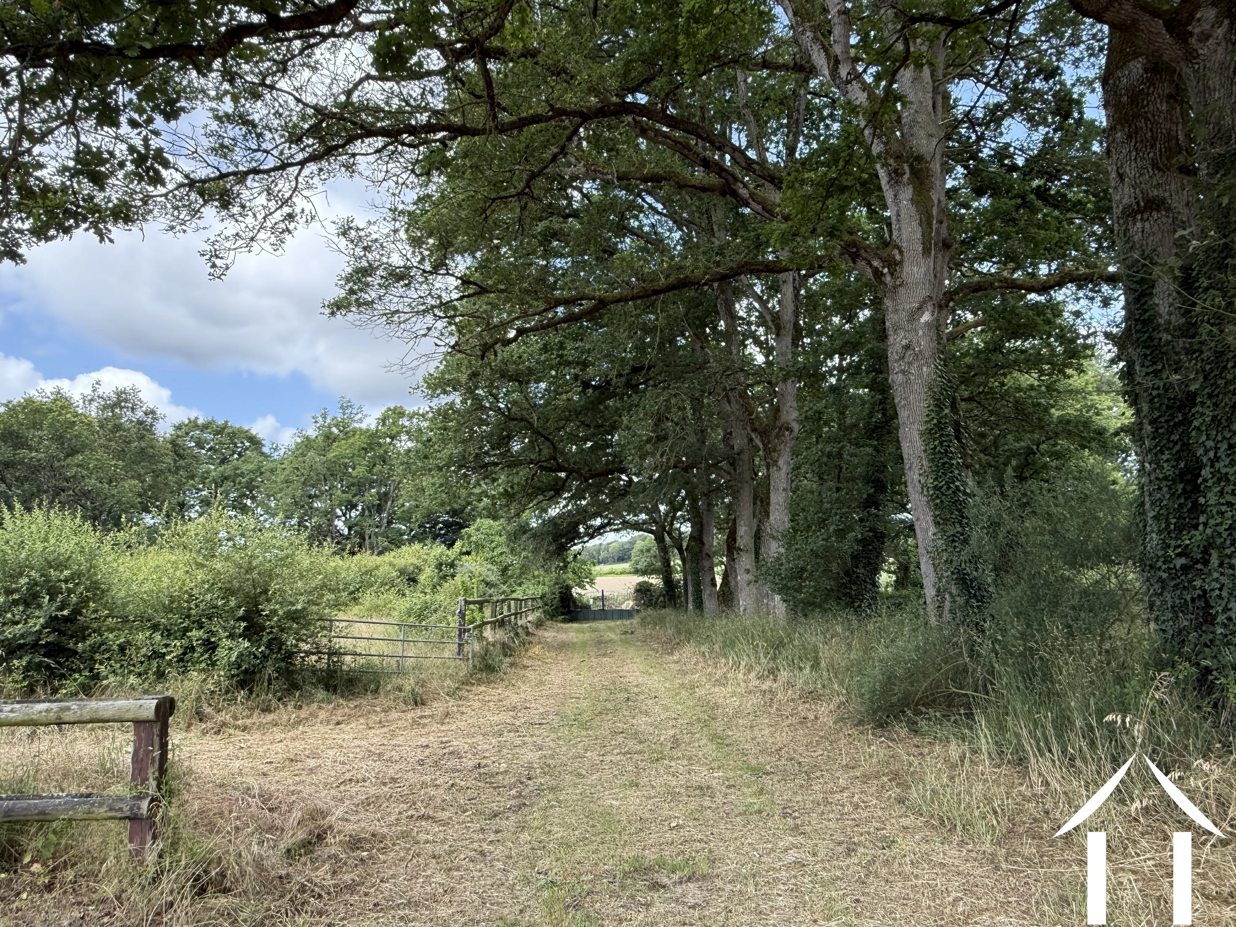 House for sale conquereuil, pays-de-la-loire, 11-2524 Image - 6