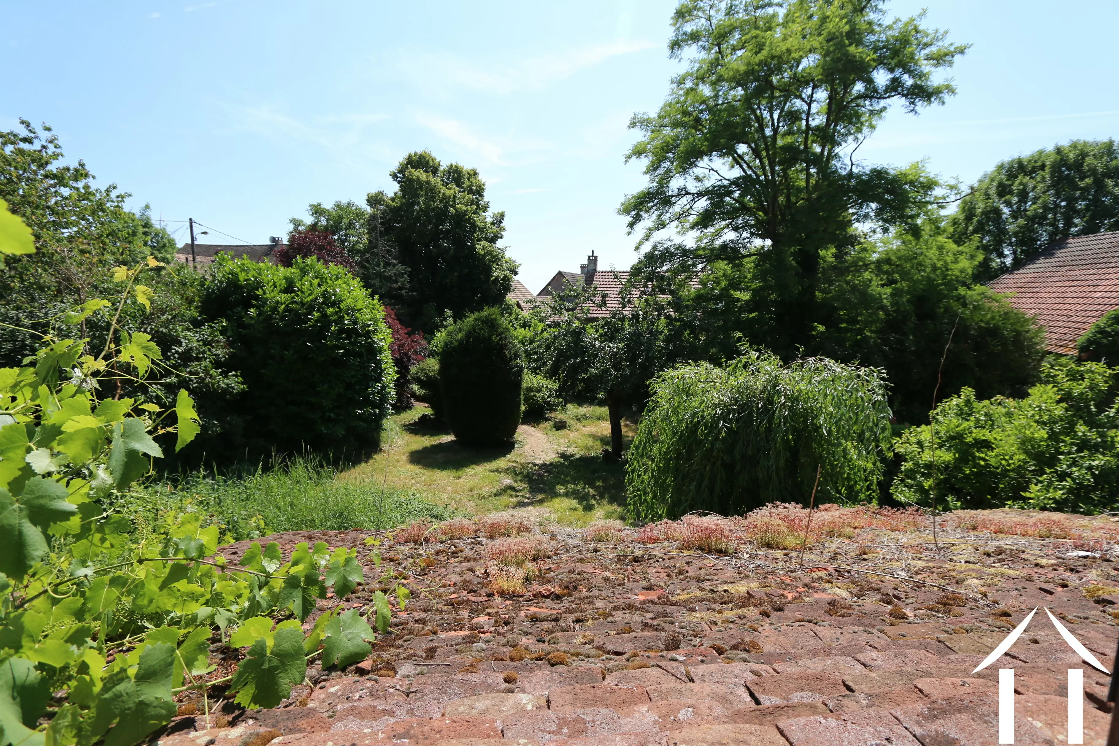 View from the kitchen