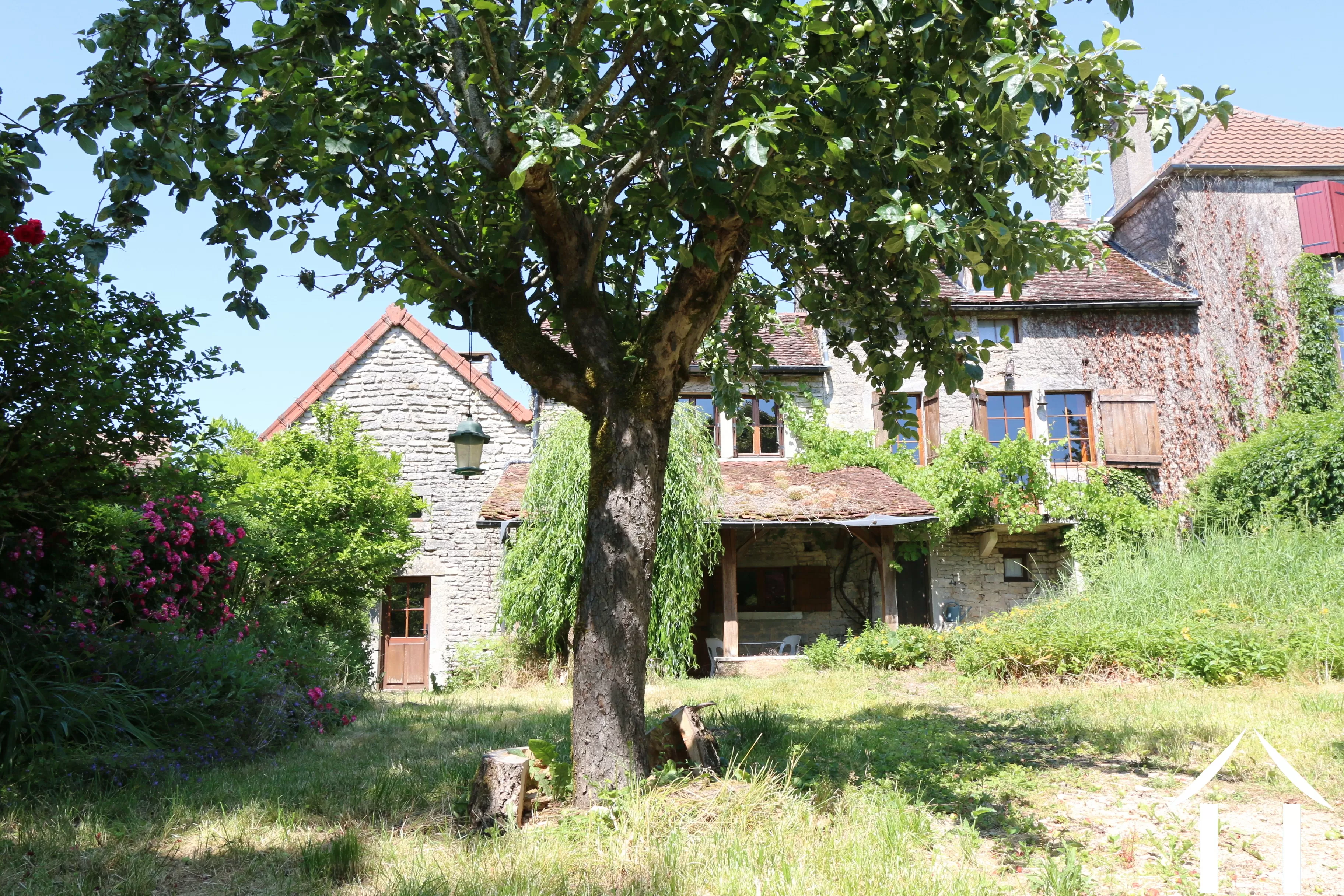 House view from the garden