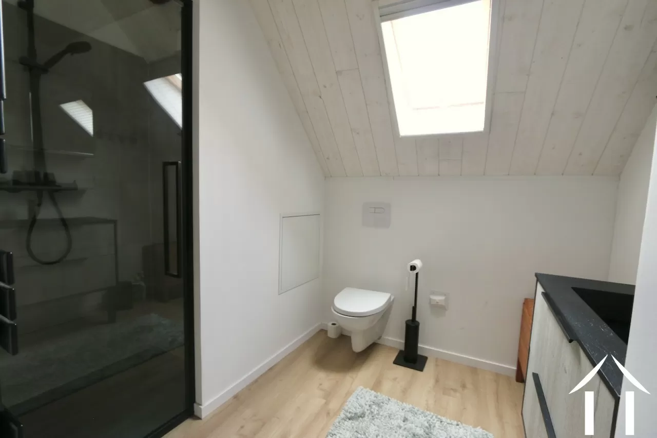 Shower room with toilet