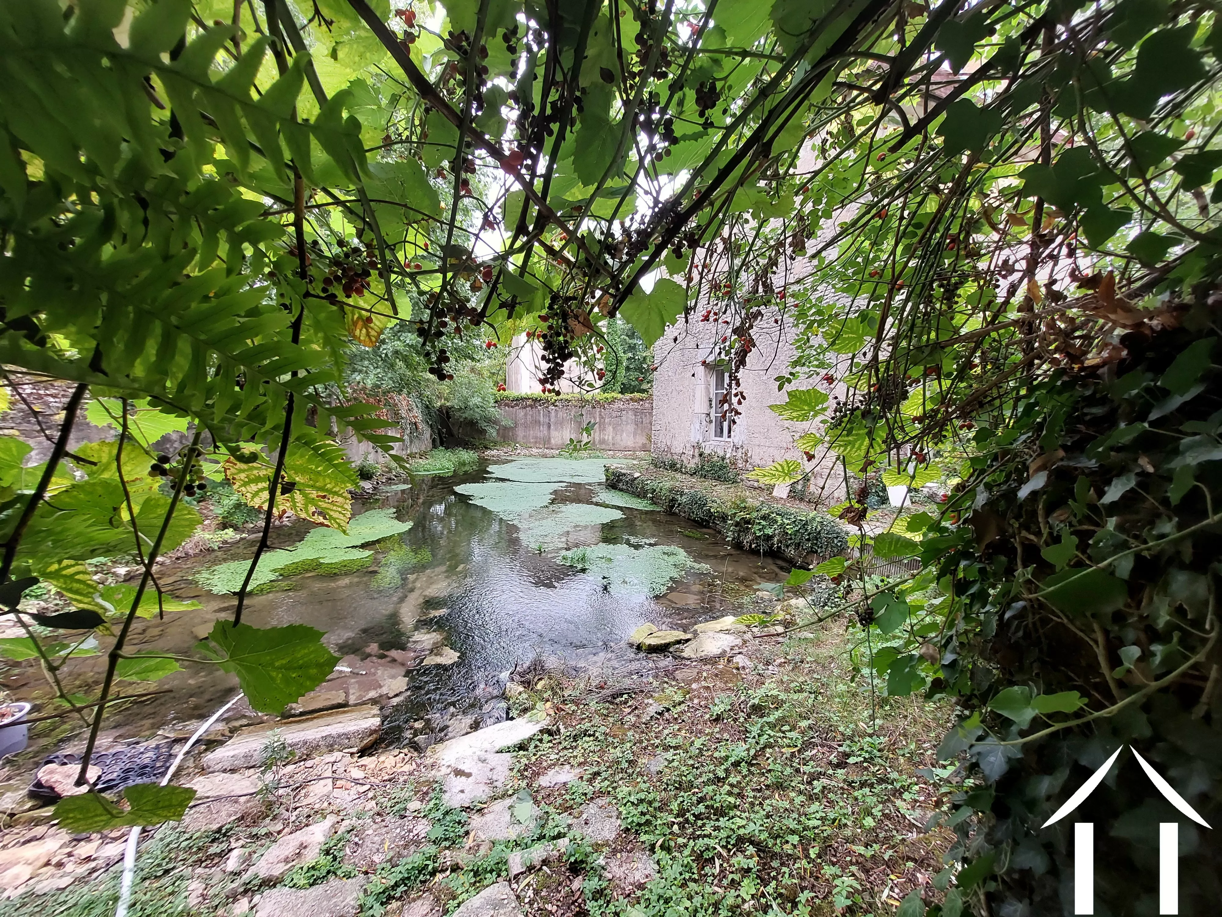 House for sale noyers, burgundy, BH5622H Image - 22