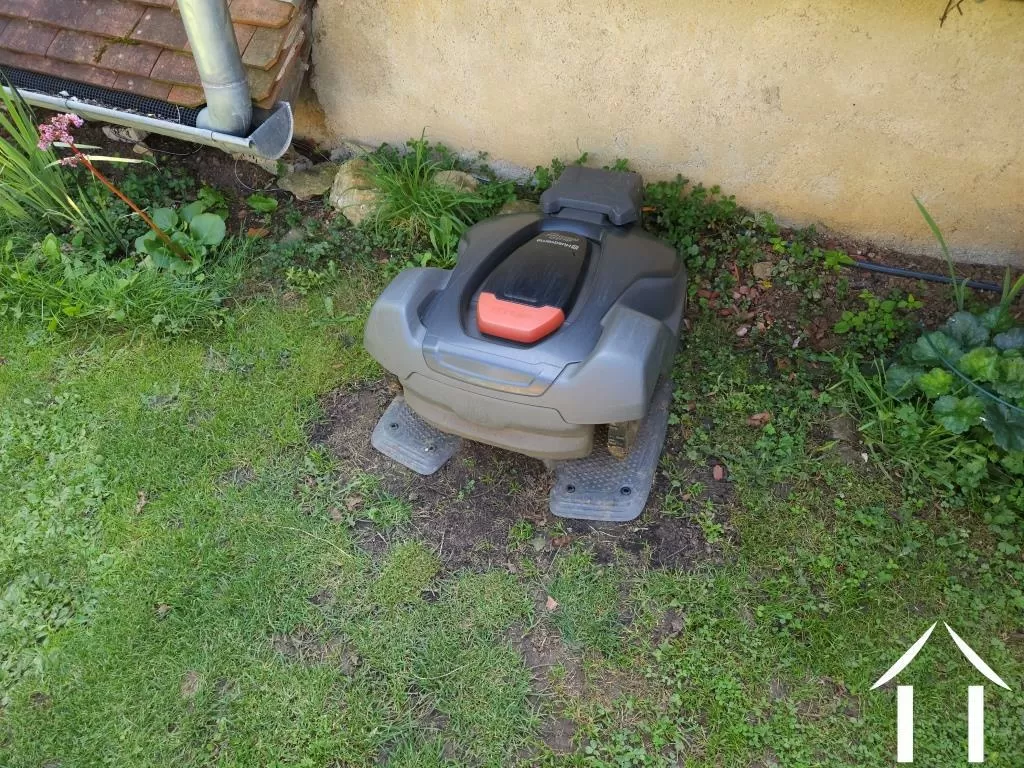 Meet Auto-Mower!