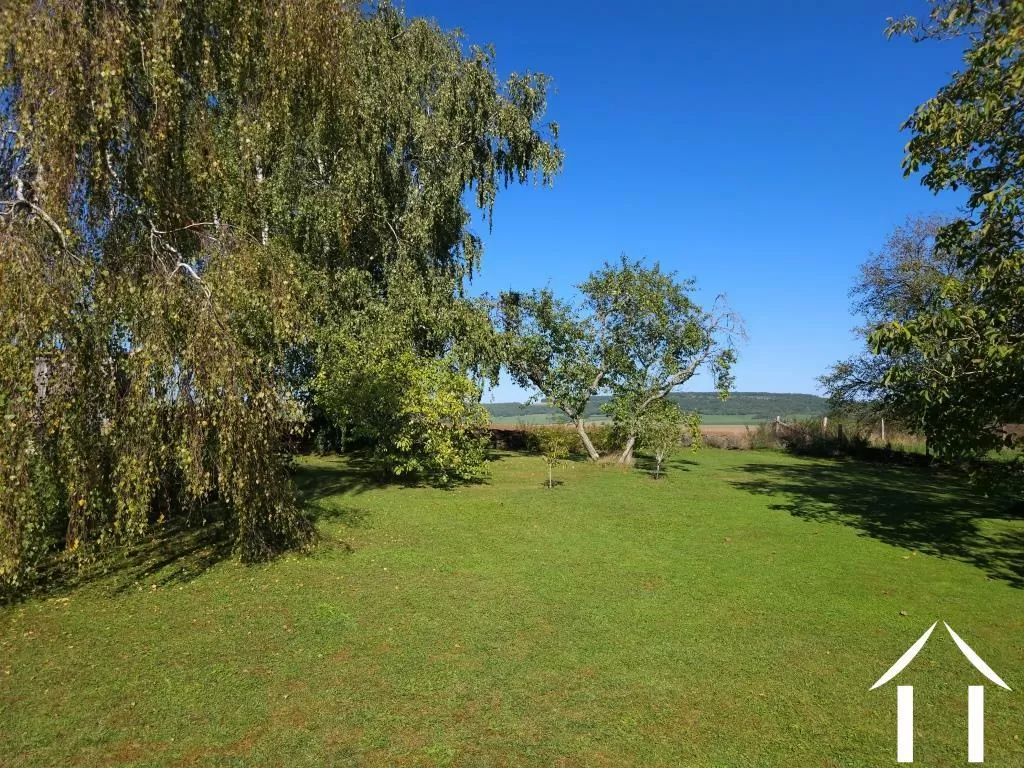 Garden with mature trees