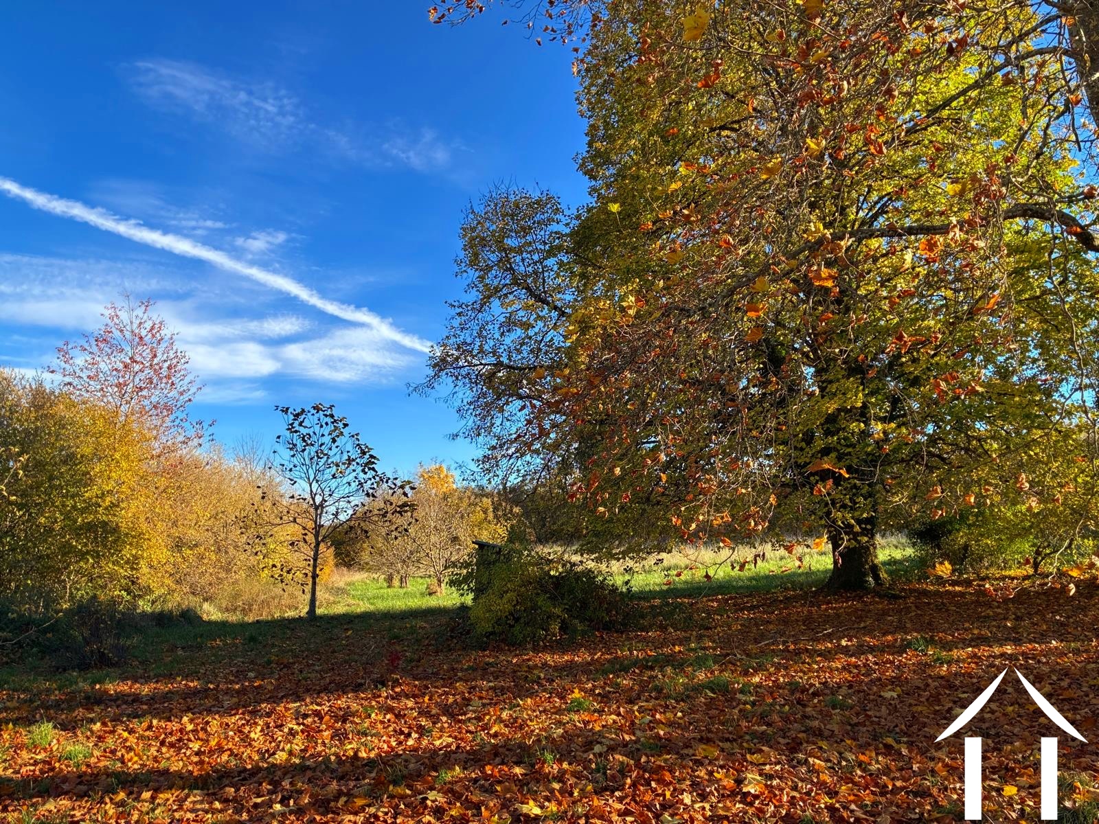 House for sale montsauche les settons, burgundy, cvh5635 Image - 4