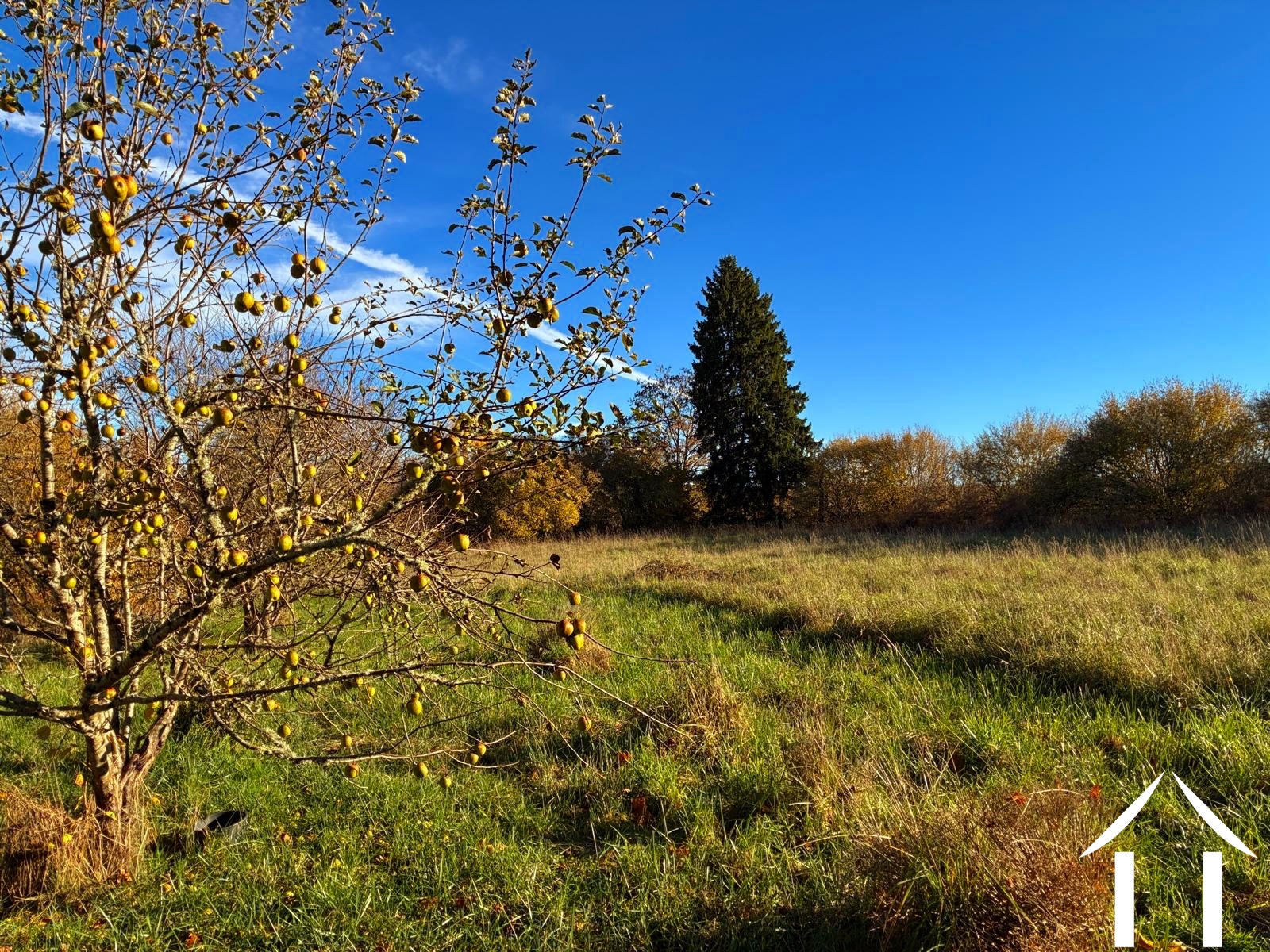 House for sale montsauche les settons, burgundy, cvh5635 Image - 12