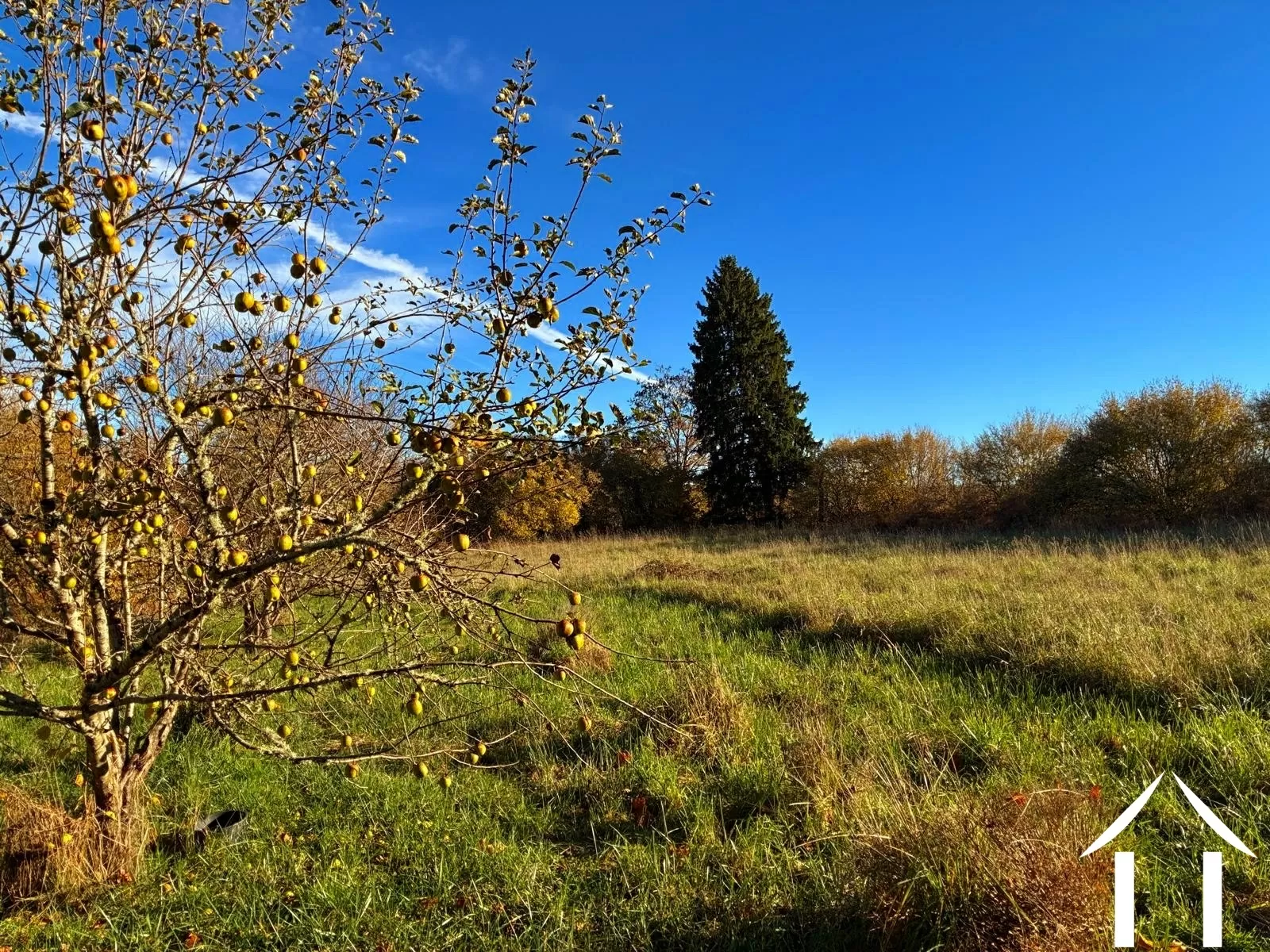 House for sale montsauche les settons, burgundy, cvh5635 Image - 12