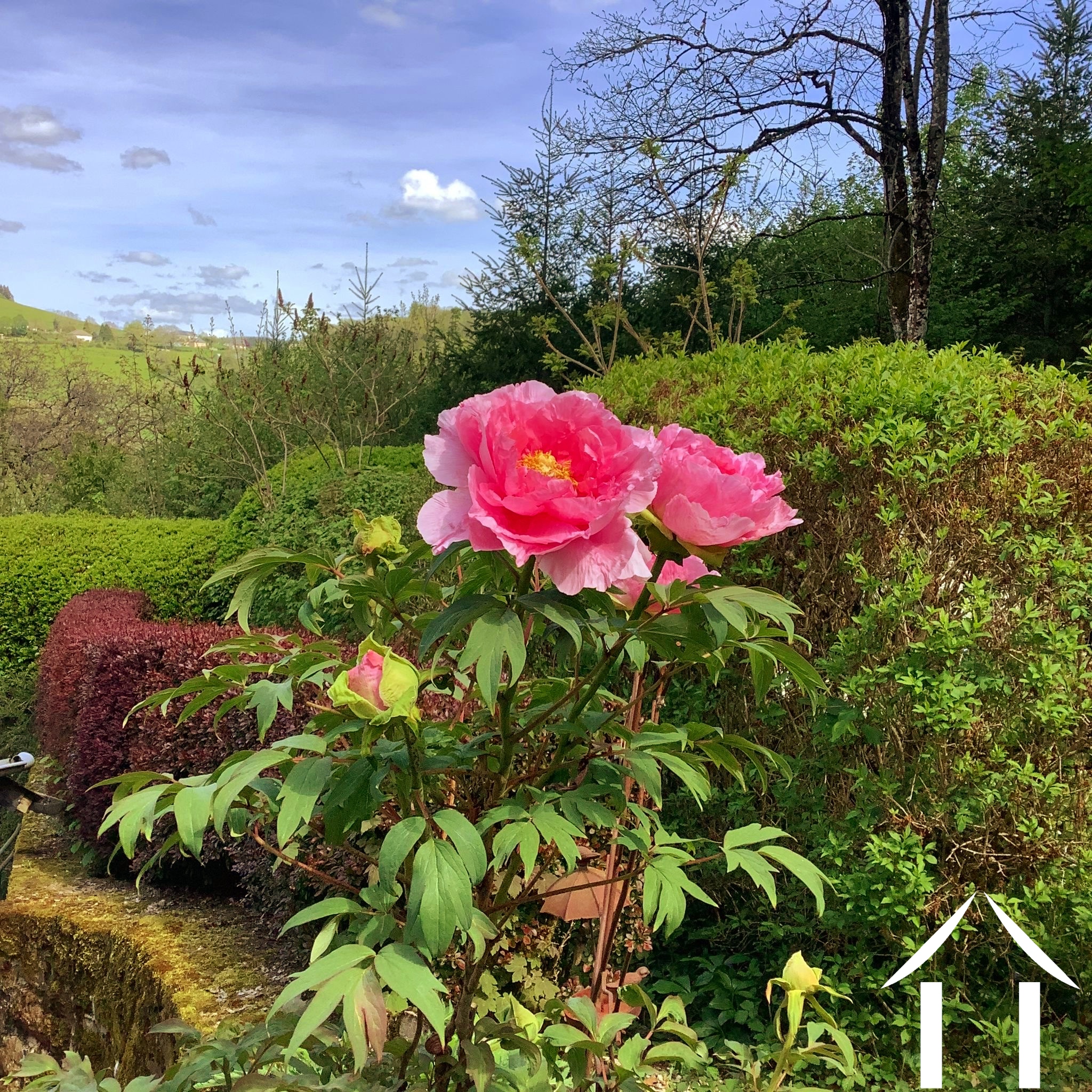 House for sale cussy en morvan, burgundy, cvh5641 Image - 18