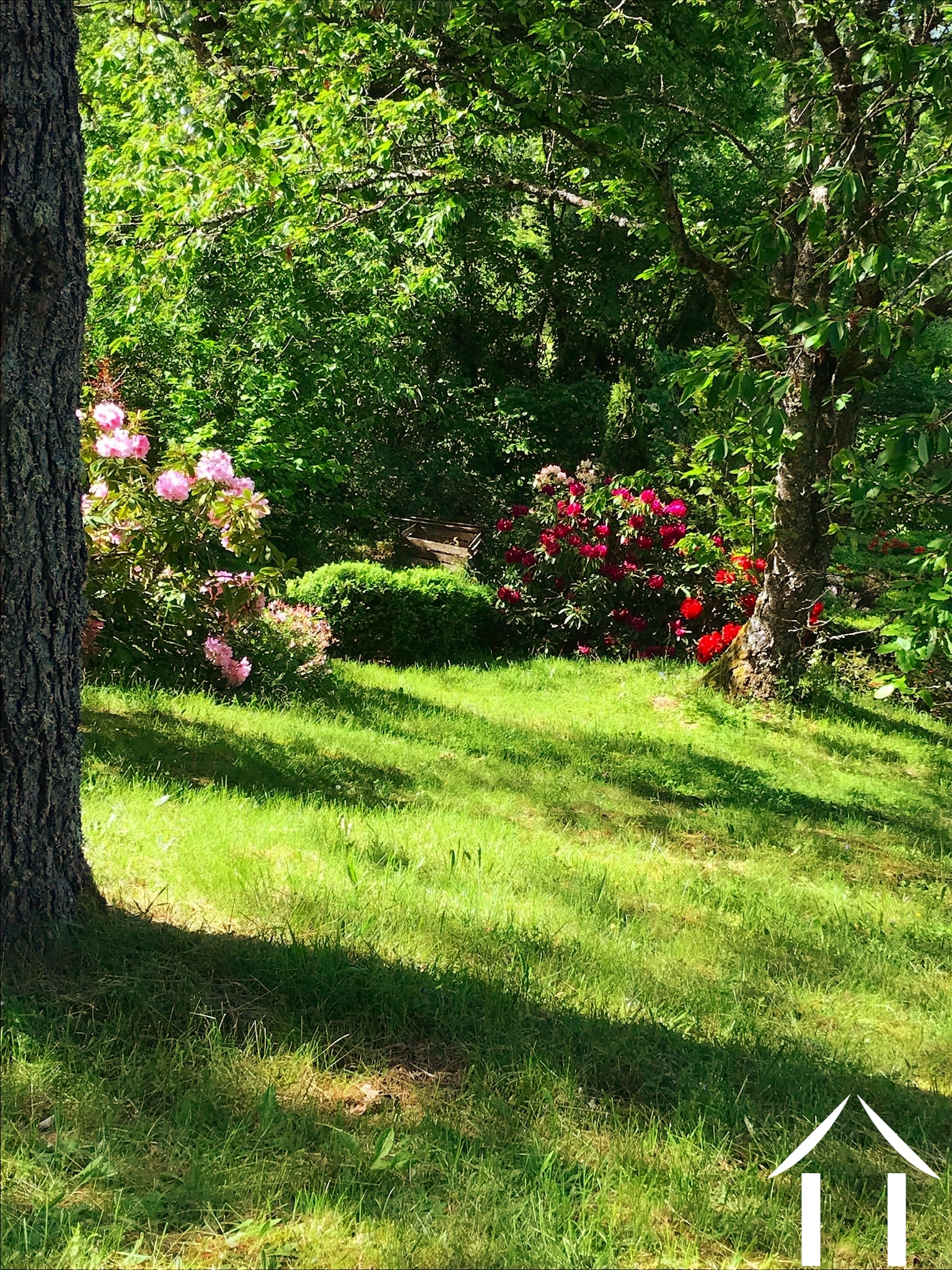 House for sale cussy en morvan, burgundy, cvh5641 Image - 6