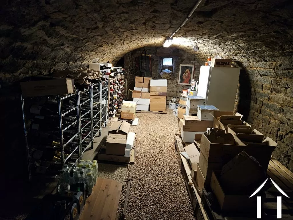 Valuted Wine Cellar