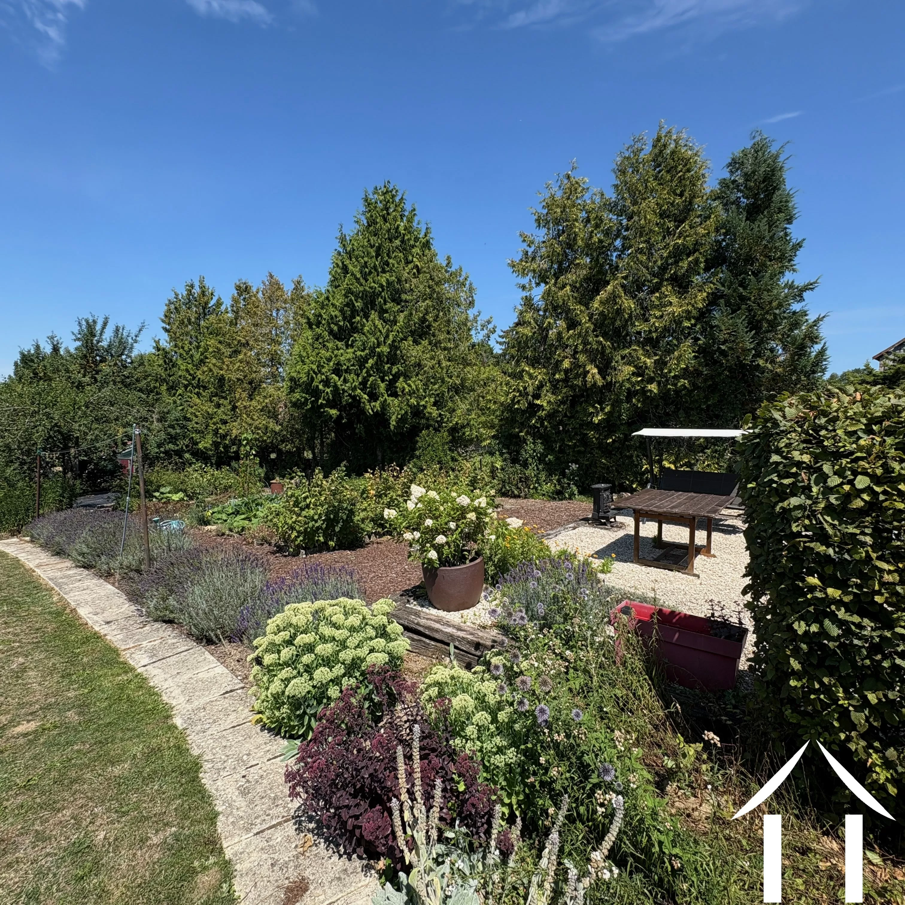 Summer in the garden