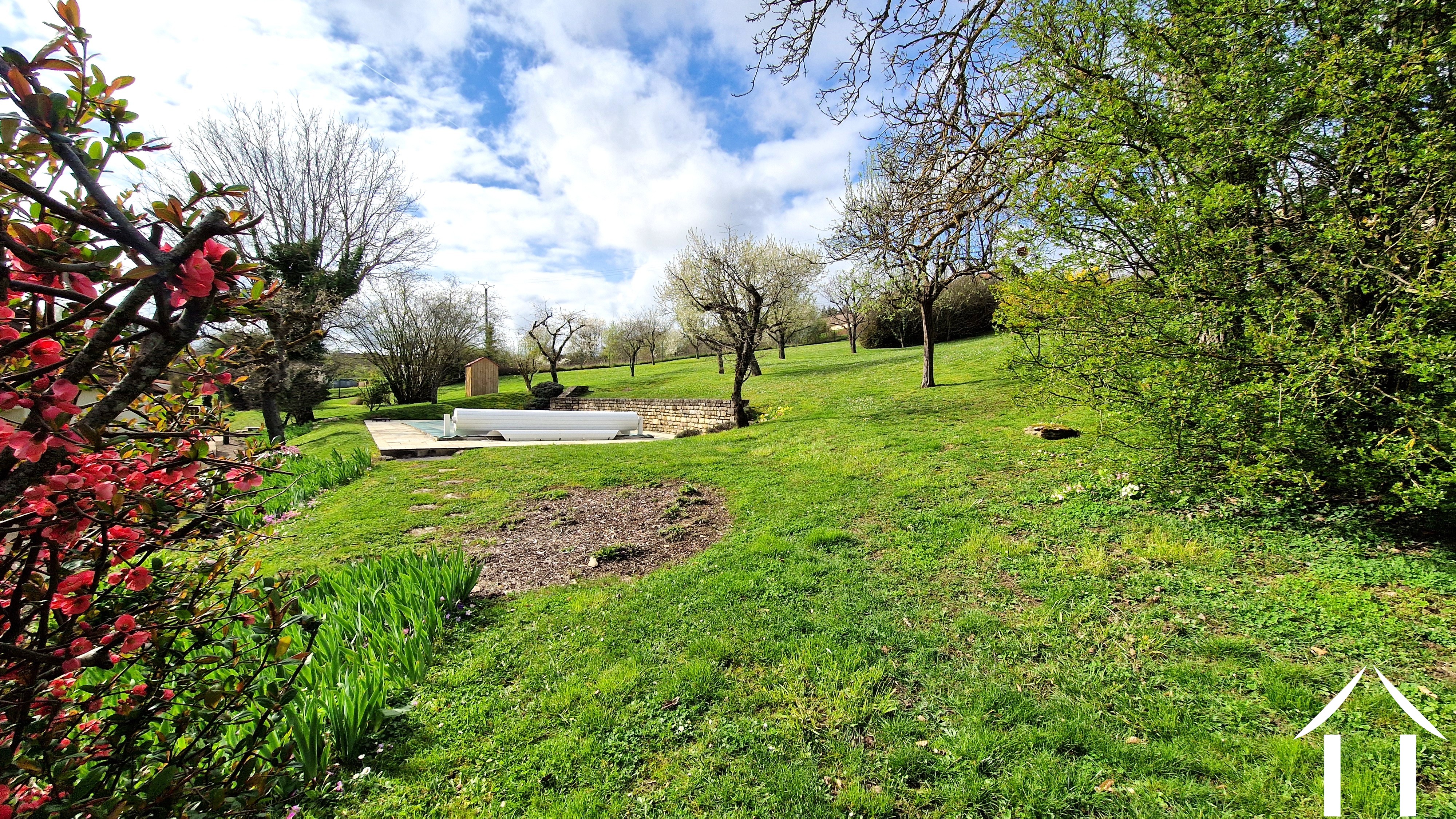 Back garden with pool