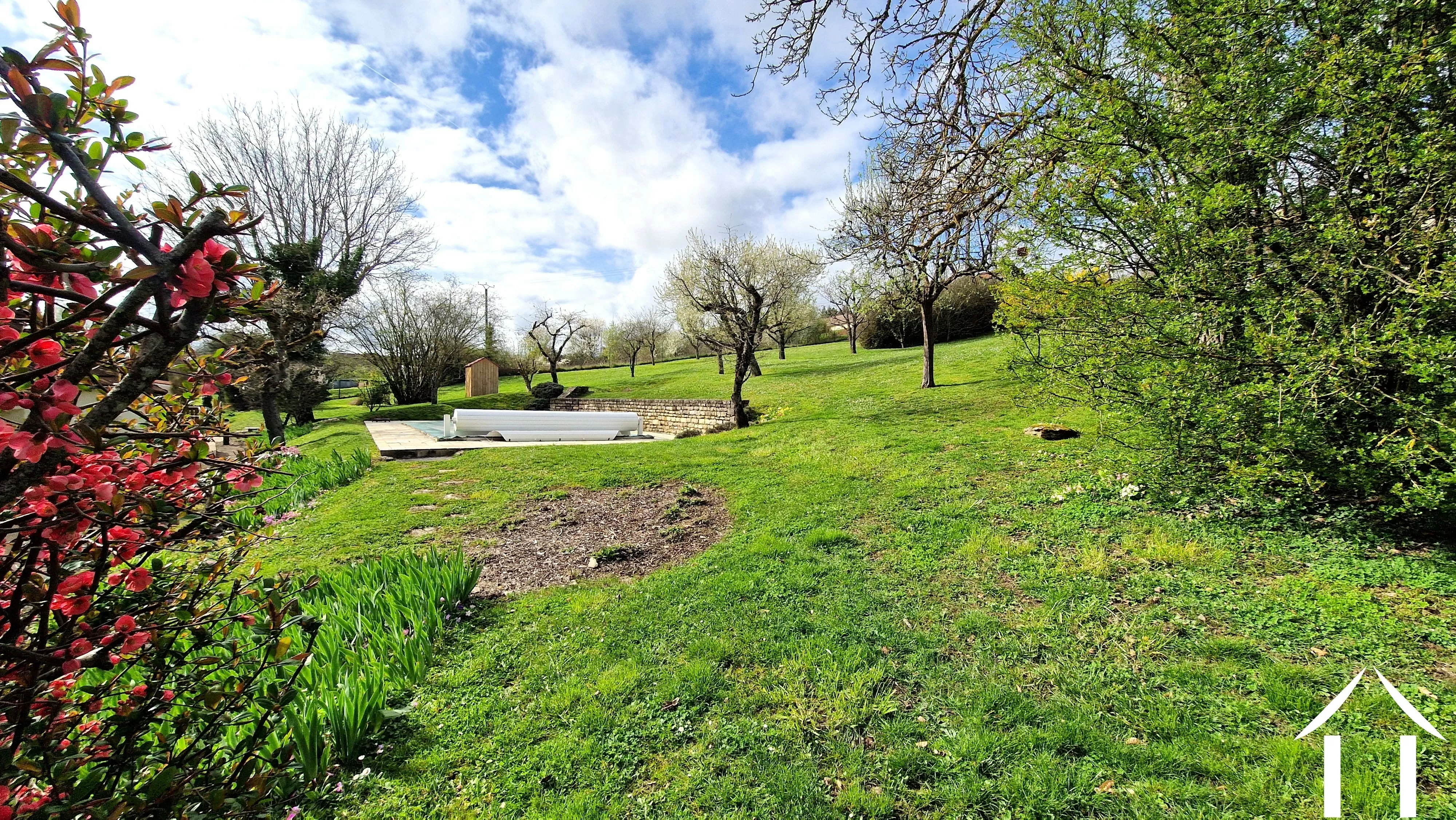 Back garden with pool